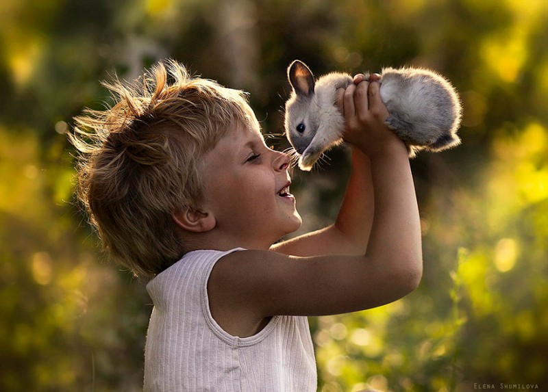 41 Koleksi Gambar Binatang Untuk Belajar Anak Kecil Gratis Terbaik