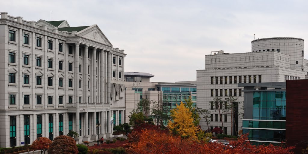 Mau Kuliah di Korea Selatan? 7 Universitas Ternama Ini