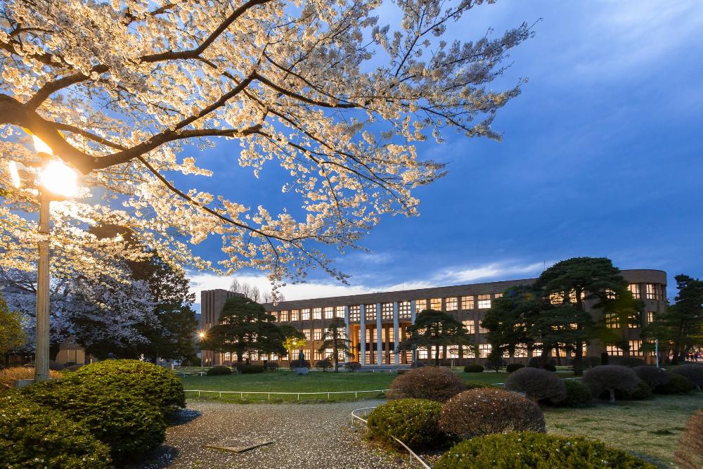 Tohoku University - fema.ipb.ac.id