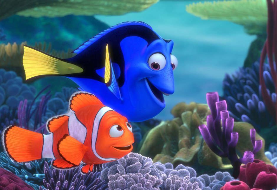 Finding nemo - amazon.com