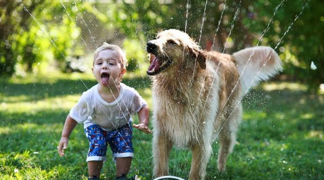 9500 Gambar Anak Merawat Hewan Terbaik