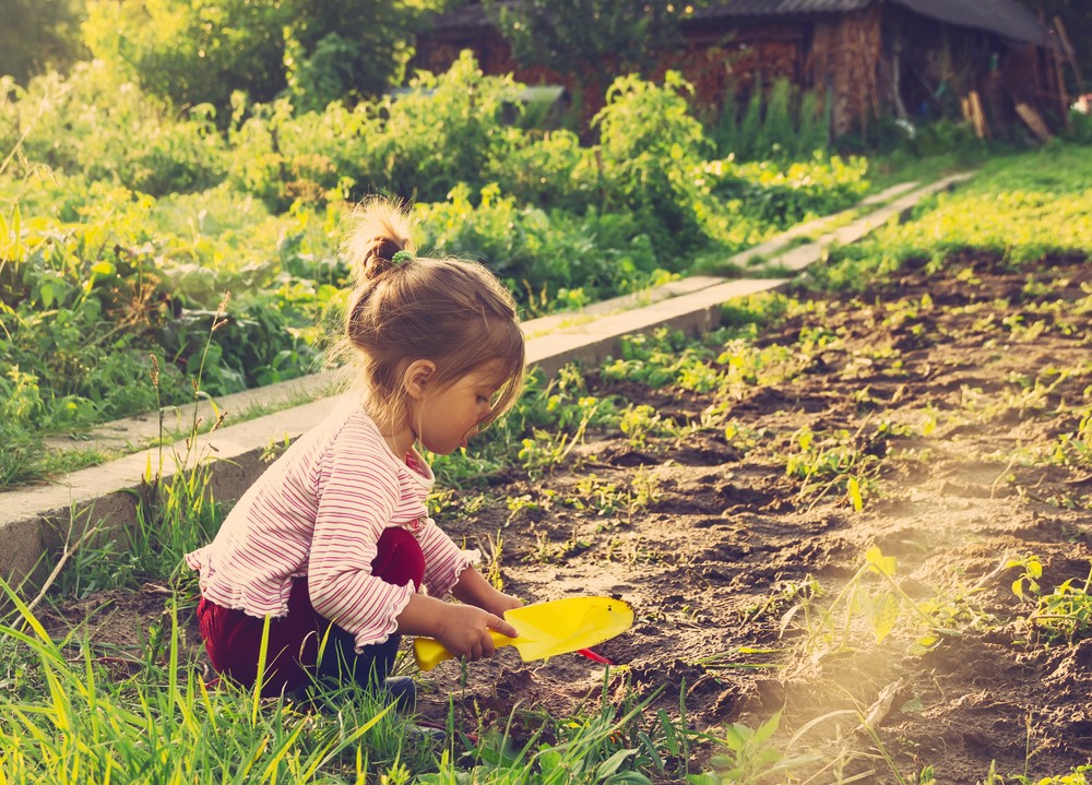 Ajak Anak Berkebun