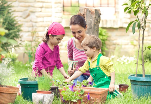 Ajak Anak Berkebun