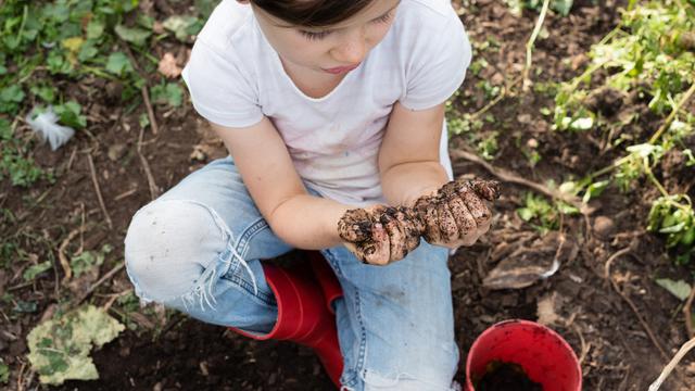 Ajak Anak Berkebun 